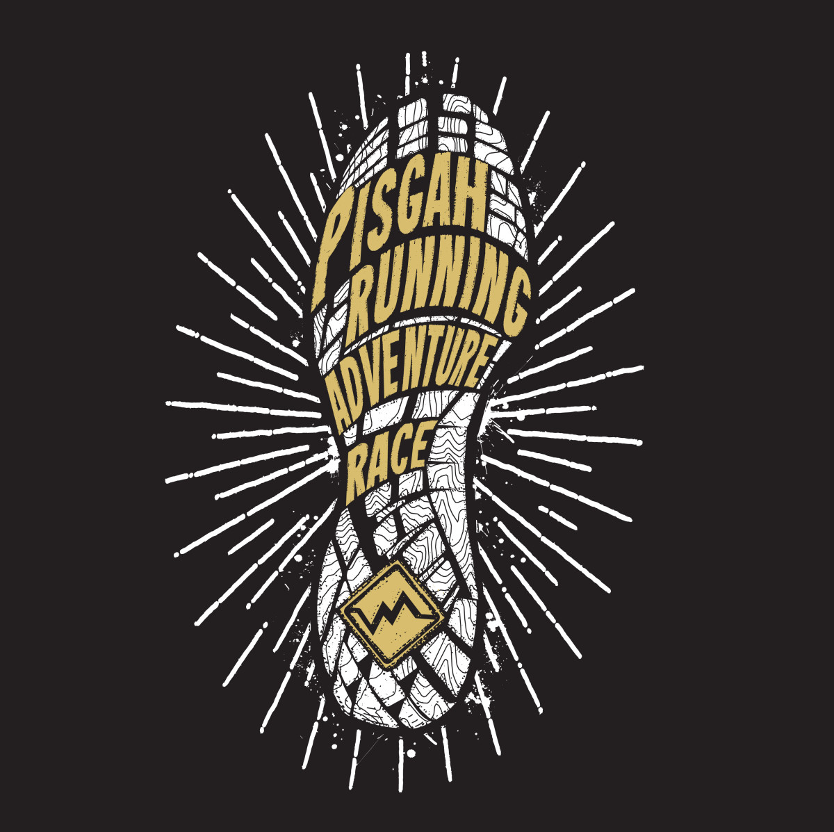 pisgah adventure race